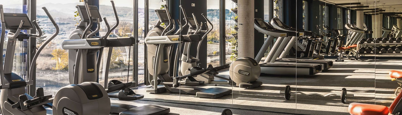 Radisson Collection Hotel, Tsinandali Estate Georgia - Gym
