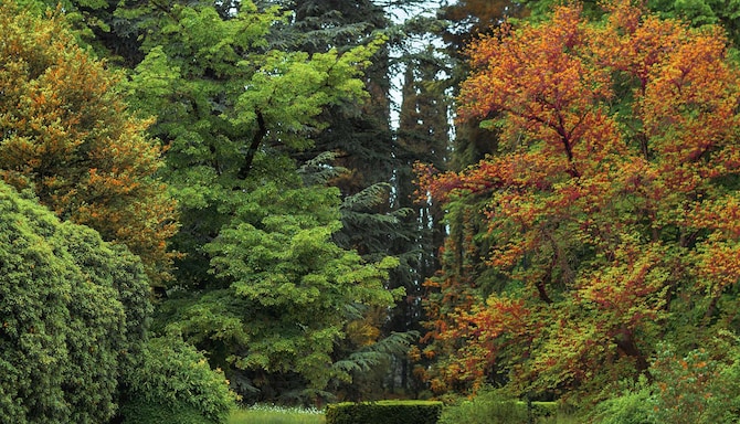 Tsinandali Estate, A Radisson Collection Hotel - פארק Tsinandali
