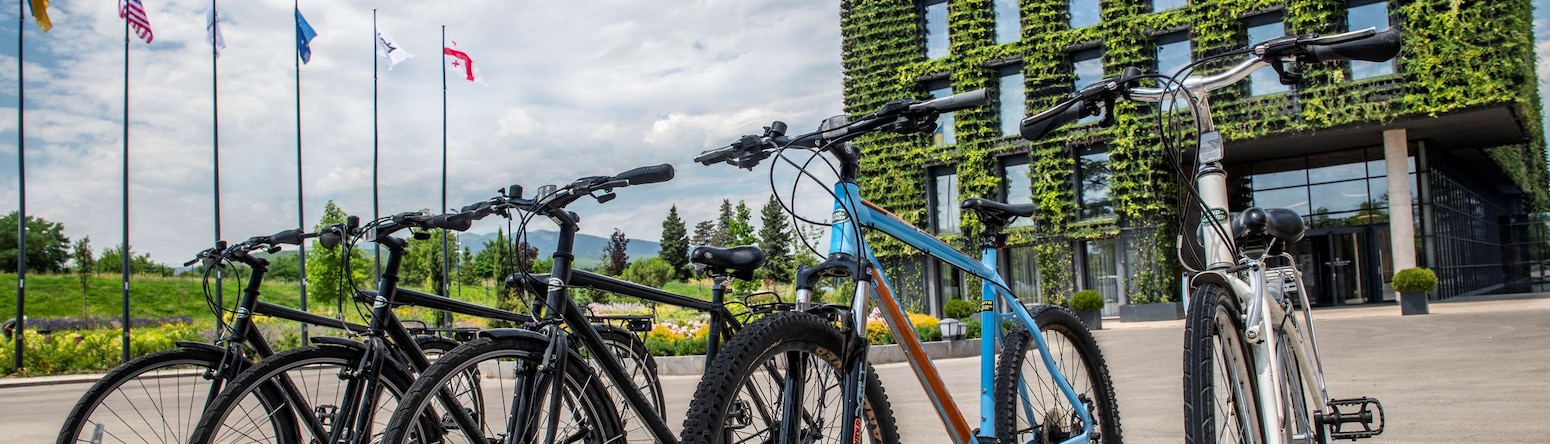 Tsinandali Estate, A Radisson Collection Hotel - Onsite bicycle rental