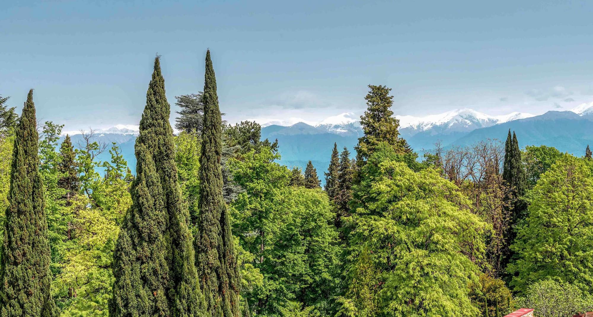 Tsinandali Estate, A Radisson Collection Hotel - Collection Premium Room