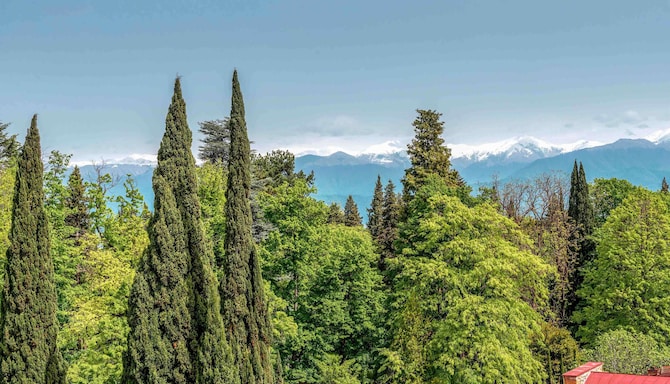 Tsinandali Estate, A Radisson Collection Hotel - Collection Premium Room