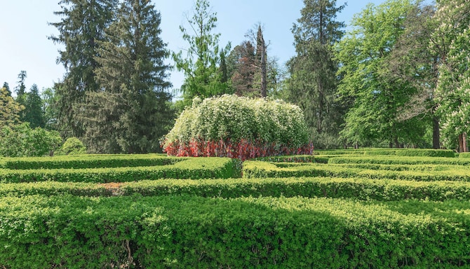 Tsinandali Estate, A Radisson Collection Hotel - Wish tree