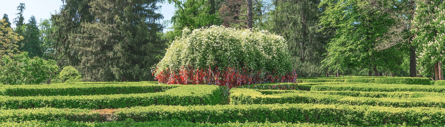 Tsinandali Estate, A Radisson Collection Hotel - Wish tree