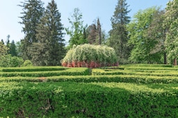 Tsinandali Estate, A Radisson Collection Hotel - Wish tree