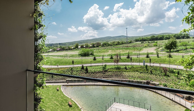 Tsinandali Estate - View