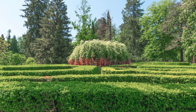 Tsinandali Estate, A Radisson Collection Hotel - Wish tree