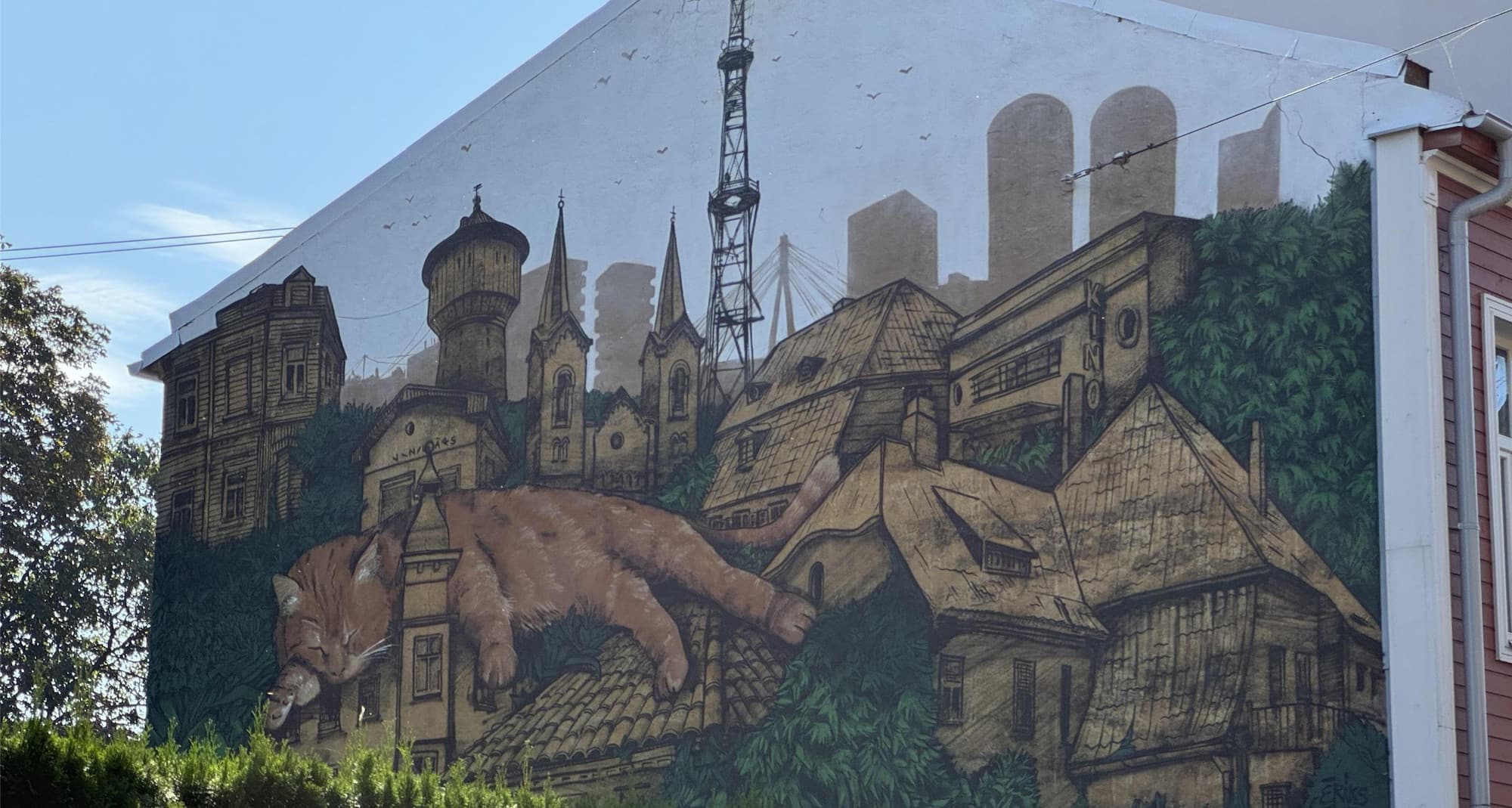 Agenskalna cat Peach