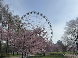 Riga Rise Panorama Wheel