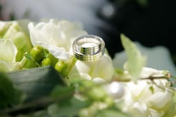 Weddings - Wedding rings